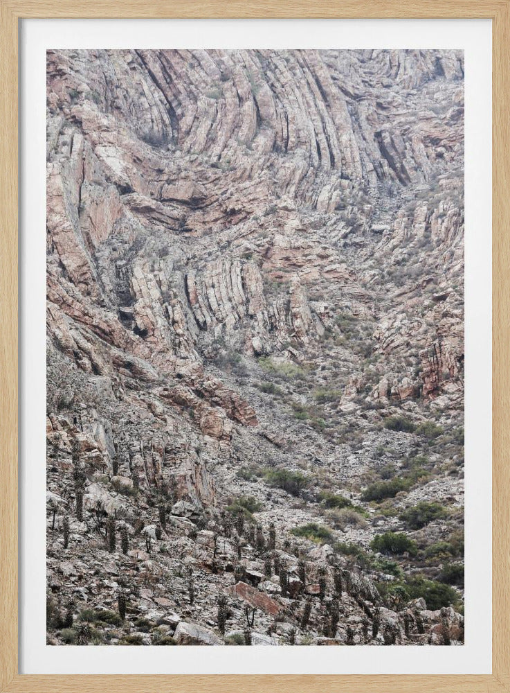 Canyon Whispers | Poster