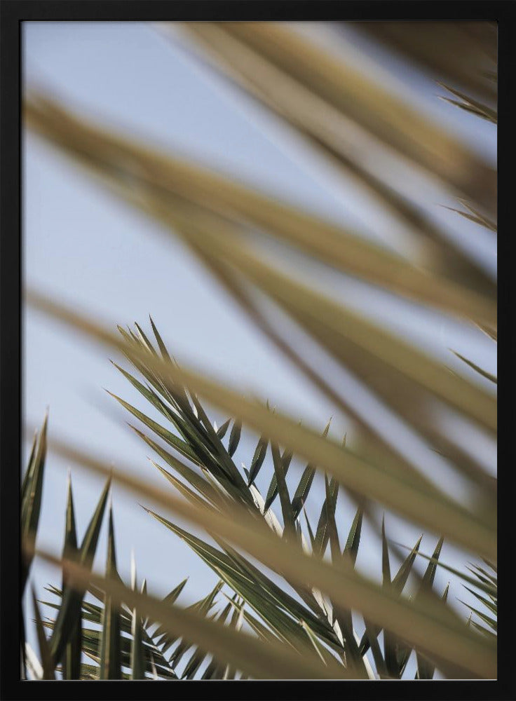 Whispering Palms | Poster