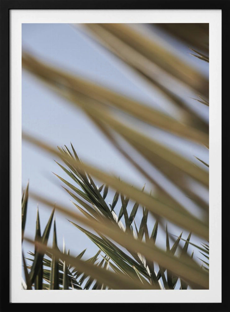 Whispering Palms | Poster