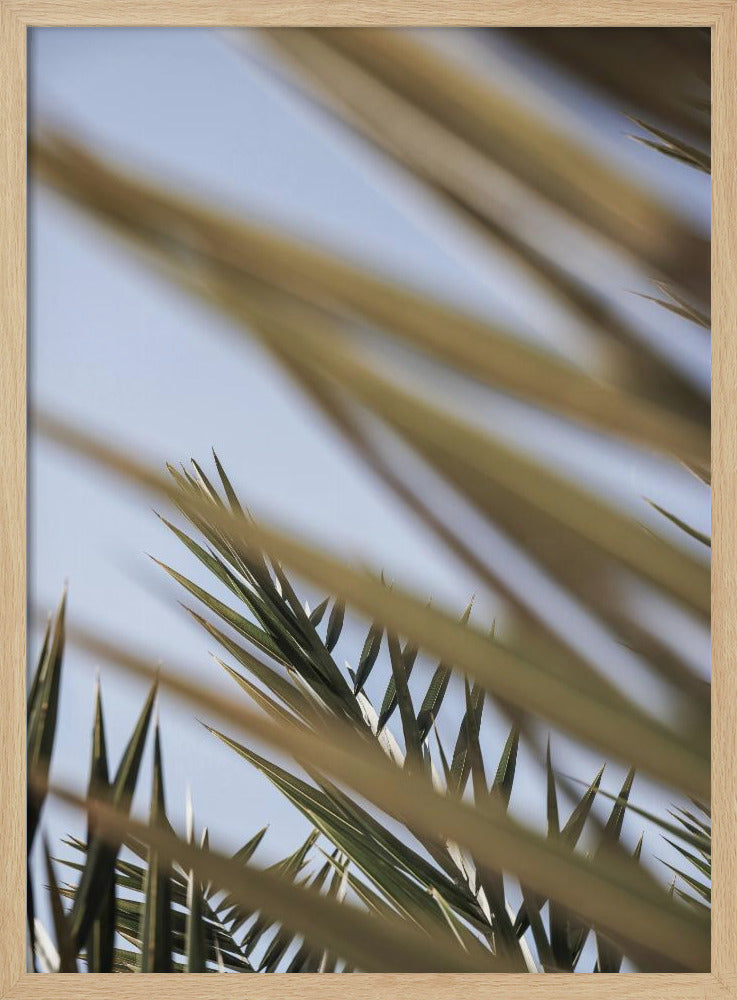 Whispering Palms | Poster