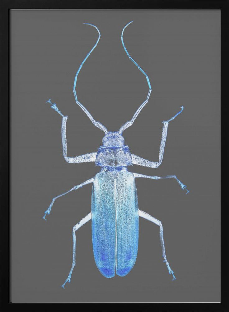 Neon Beetle Elegance | Poster