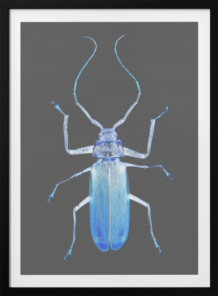 Neon Beetle Elegance | Poster