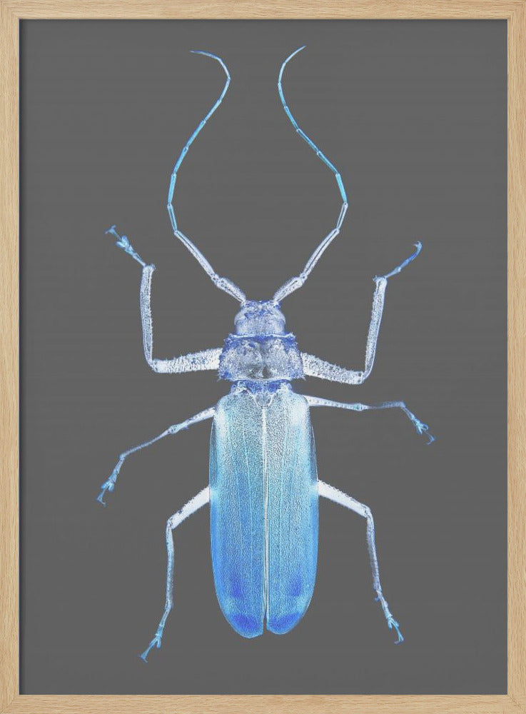 Neon Beetle Elegance | Poster