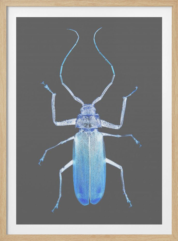 Neon Beetle Elegance | Poster