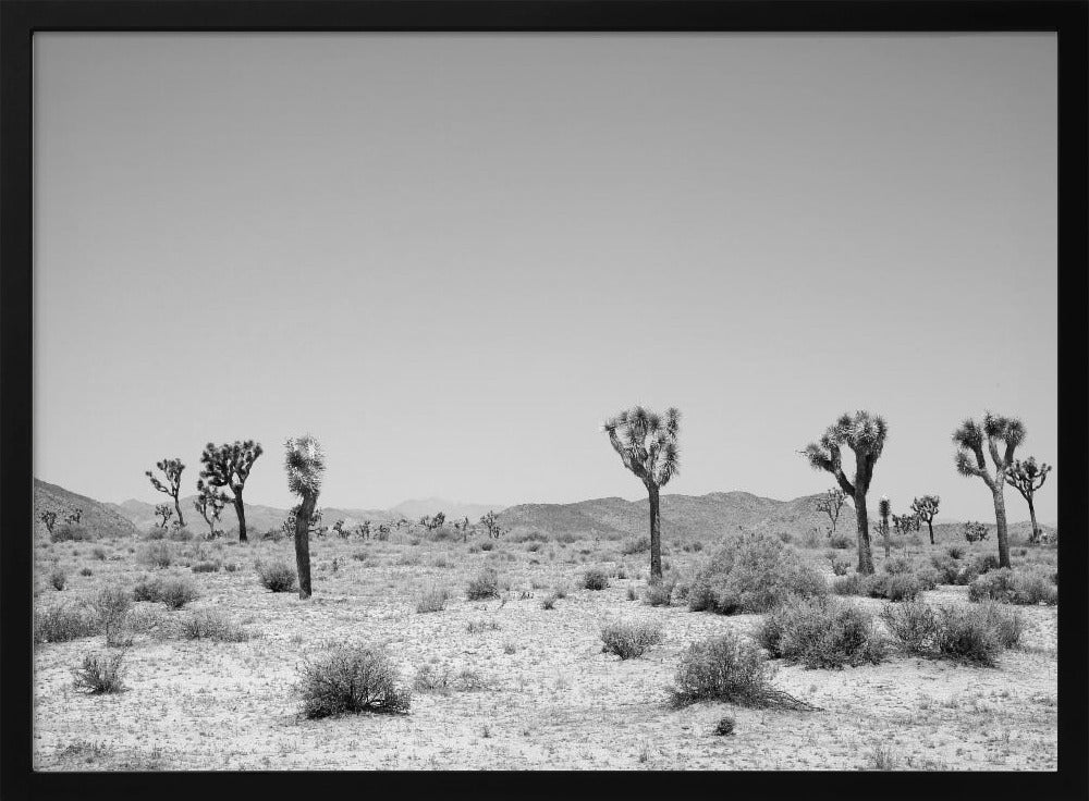 Desert Silence | Poster