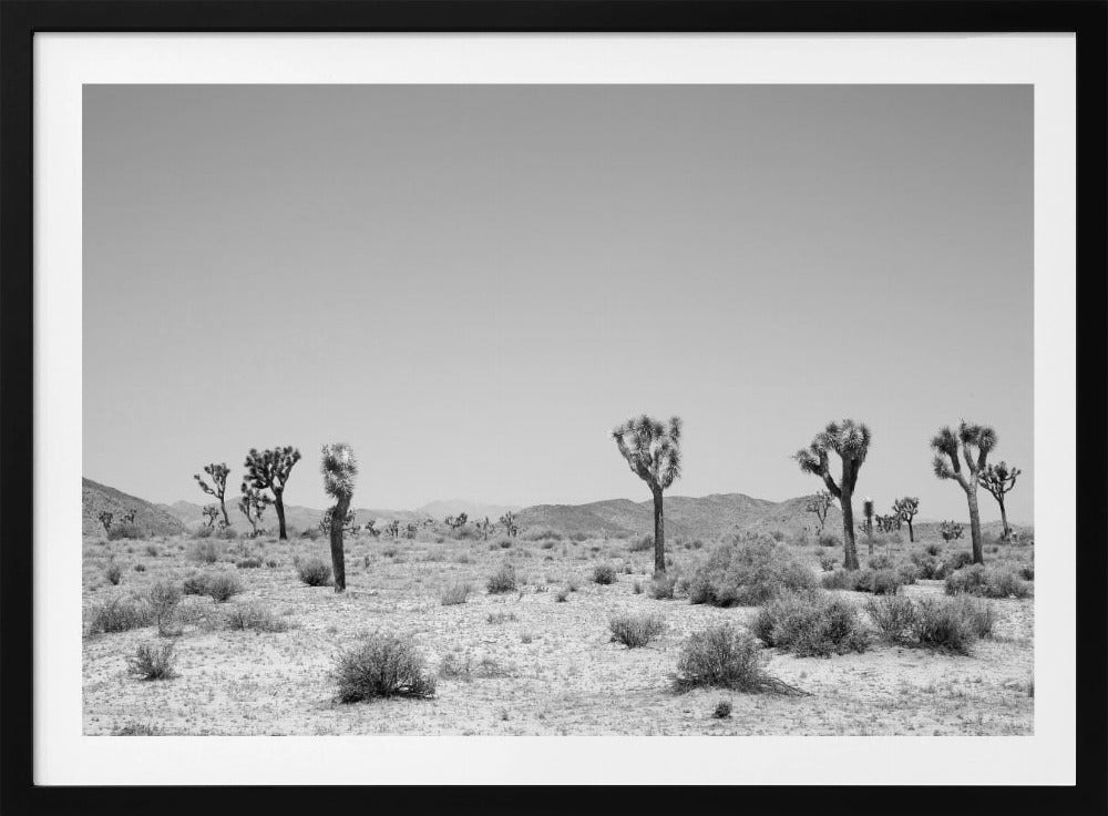 Desert Silence | Poster