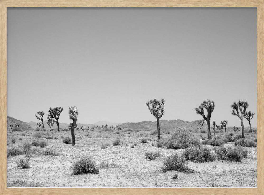 Desert Silence | Poster