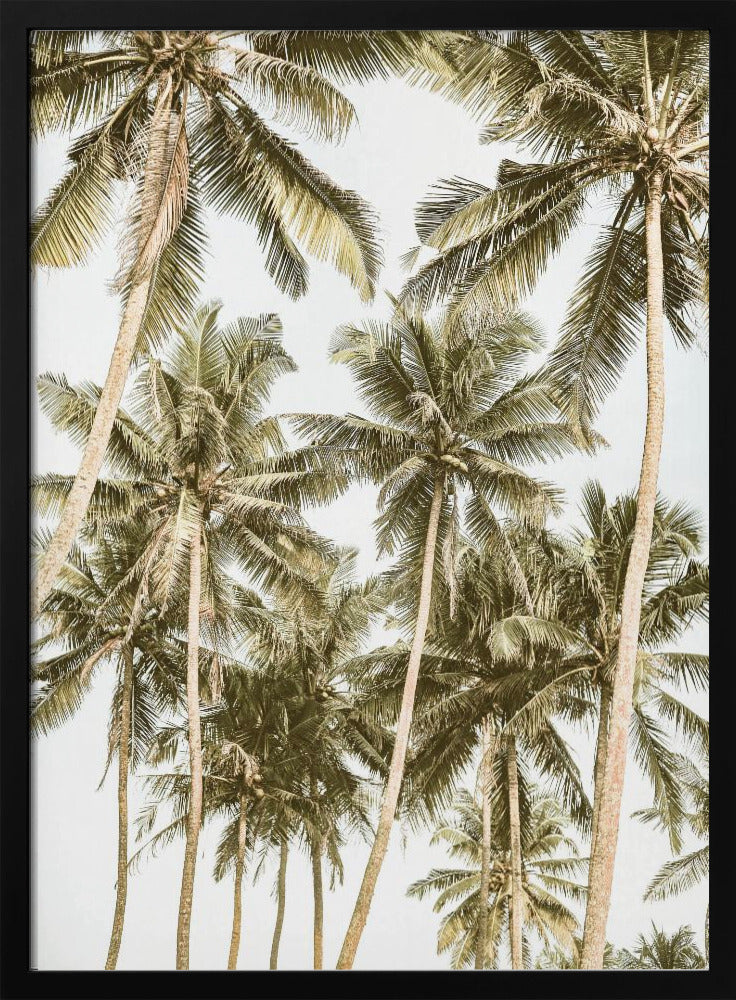 Tropical Serenity | Poster