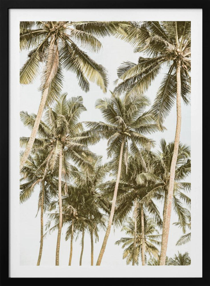 Tropical Serenity | Poster