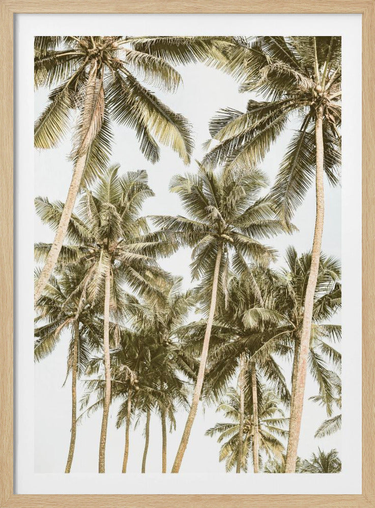 Tropical Serenity | Poster