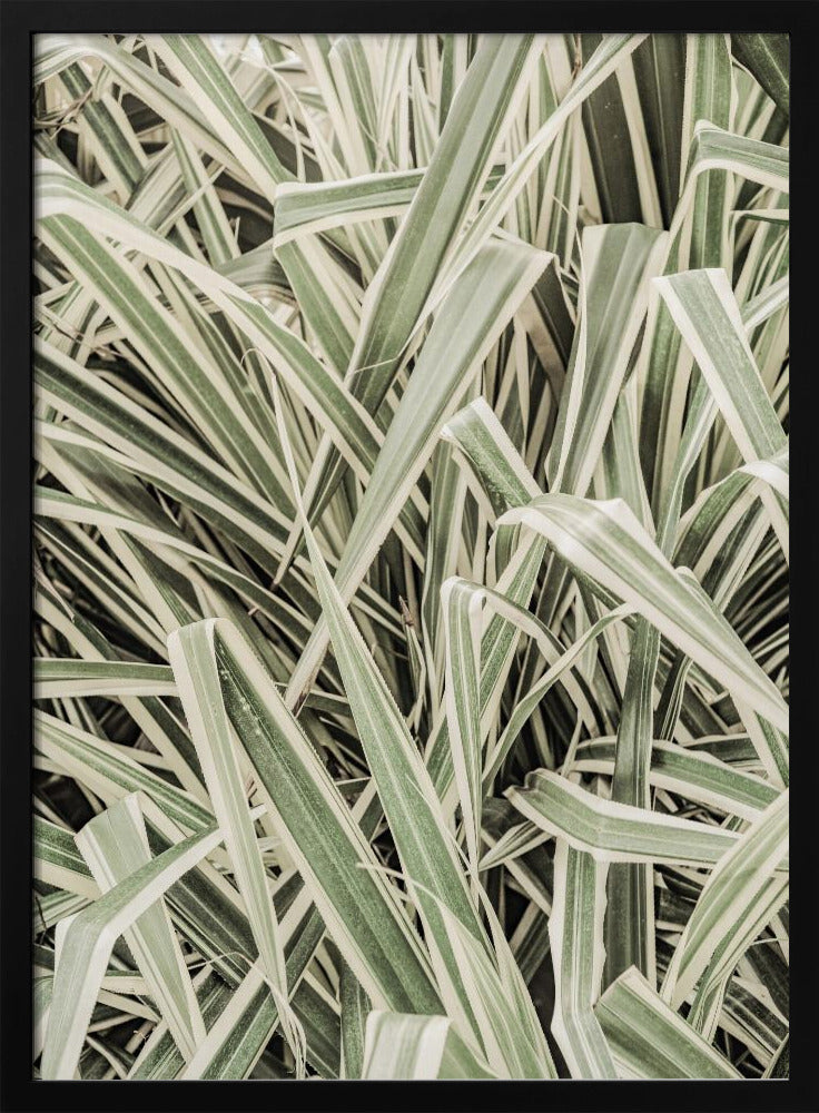 Verdant Stripes | Poster