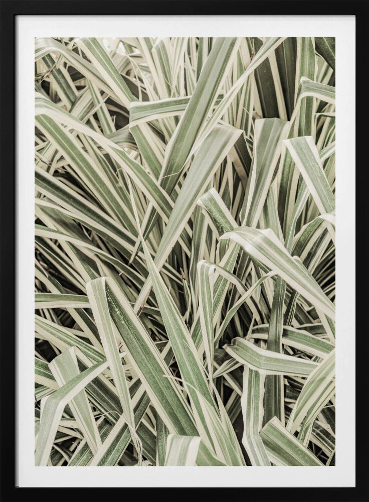 Verdant Stripes | Poster
