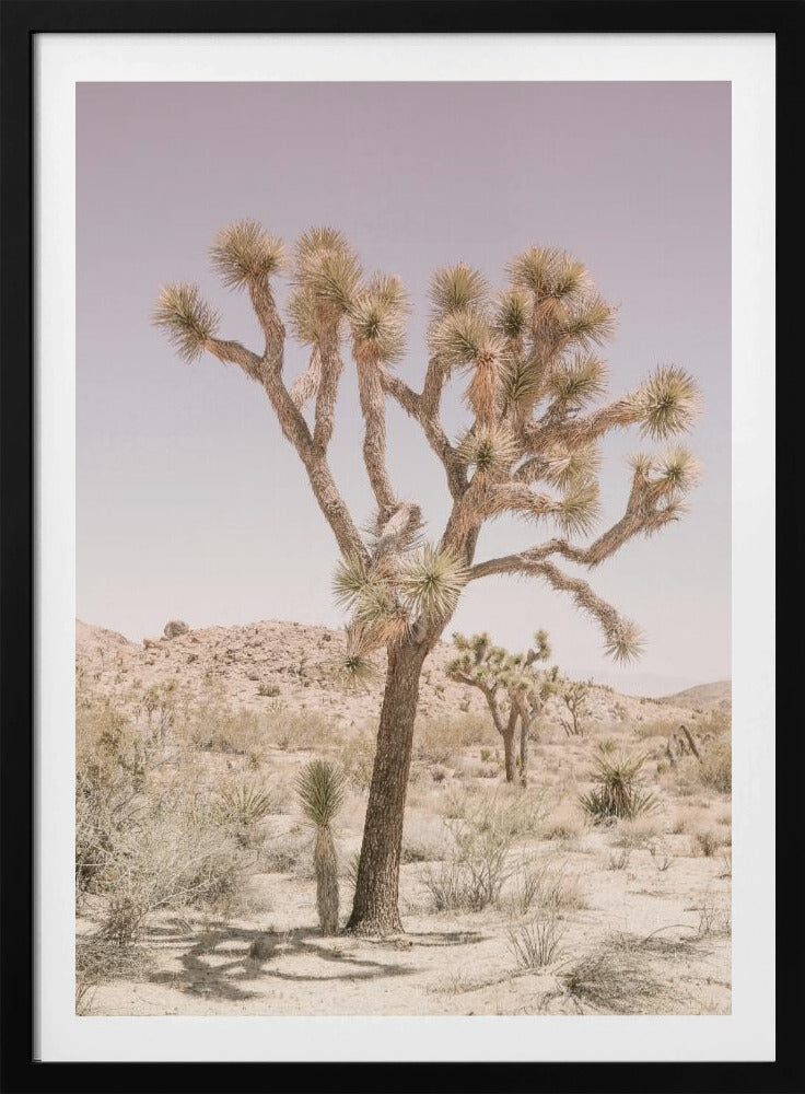 Desert Serenity | Poster