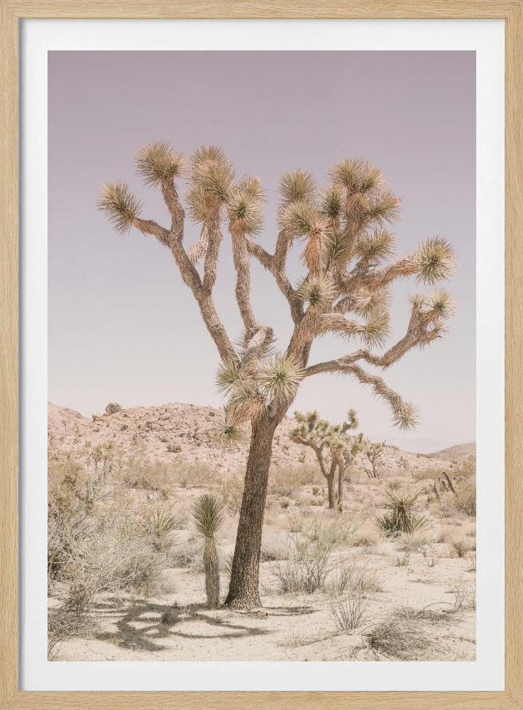 Desert Serenity | Poster