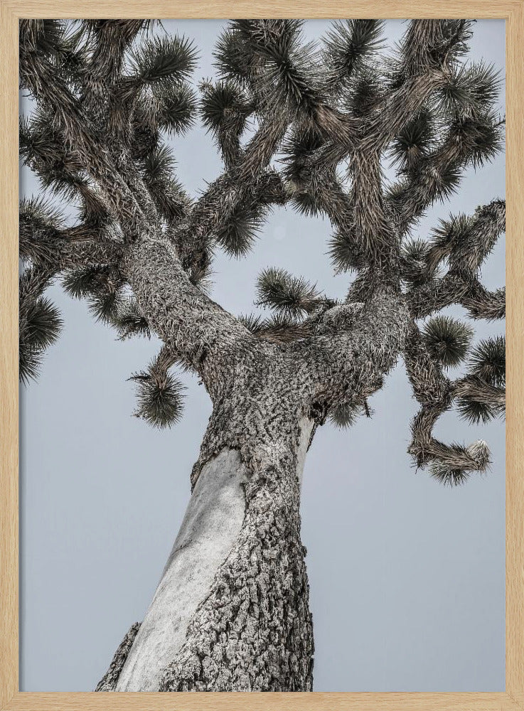 Twisting Desert Giant | Poster