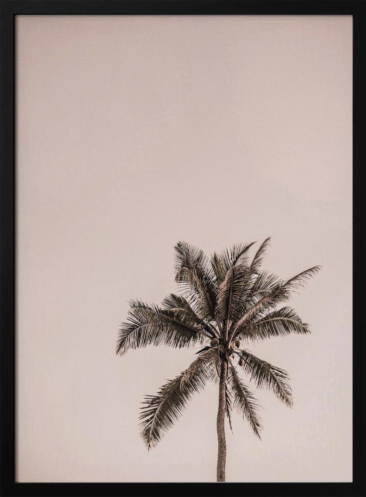 Pink Palm Serenity | Poster