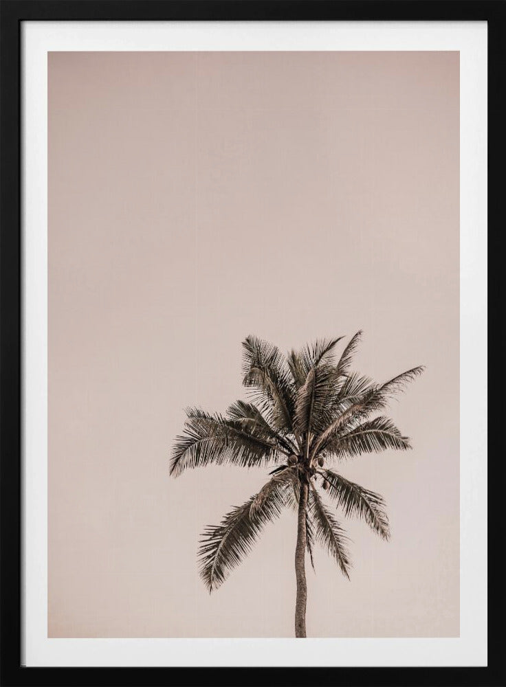 Pink Palm Serenity | Poster
