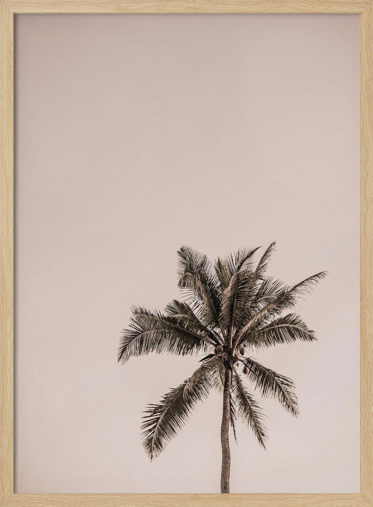 Pink Palm Serenity | Poster