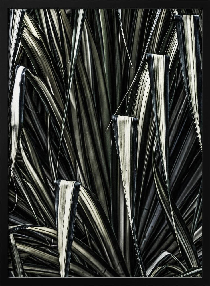 Verdant Stripes | Poster