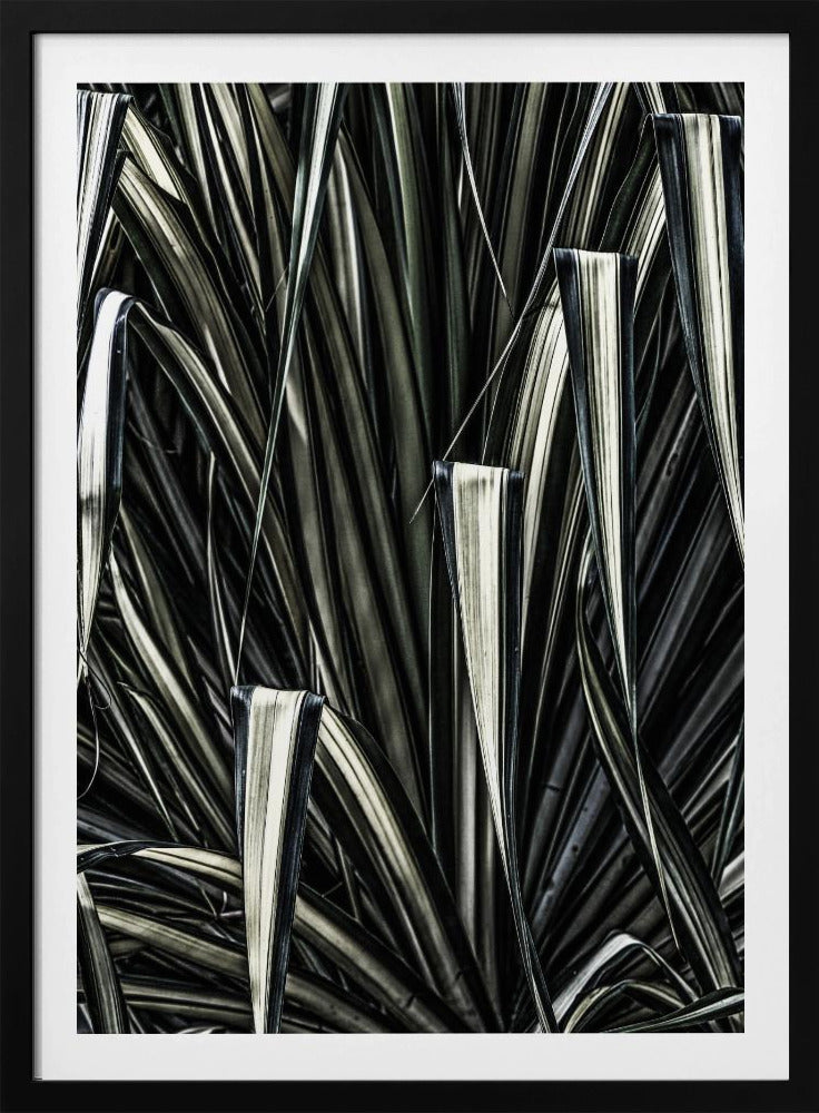 Verdant Stripes | Poster