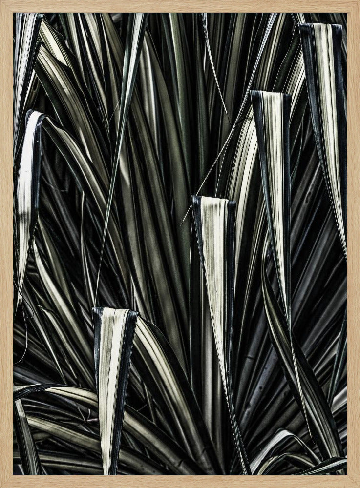 Verdant Stripes | Poster