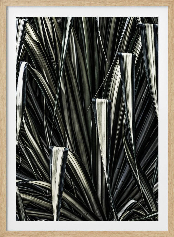 Verdant Stripes | Poster