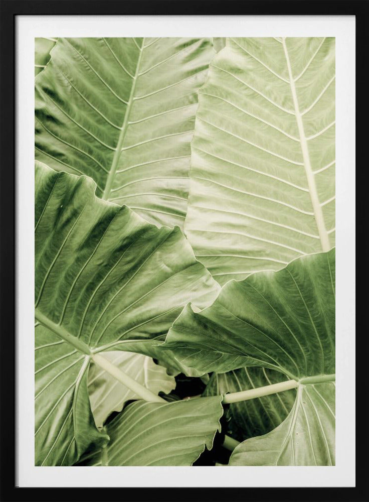 Verdant Foliage | Poster