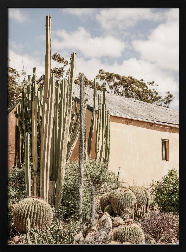 Desert Retreat | Poster