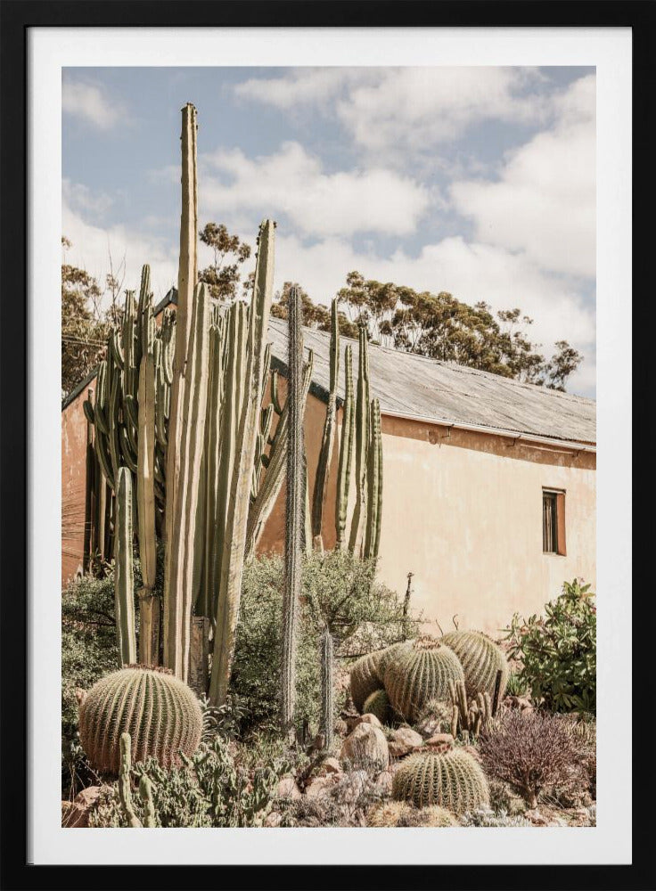 Desert Retreat | Poster