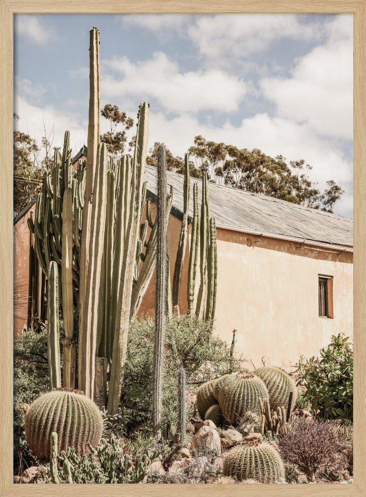 Desert Retreat | Poster