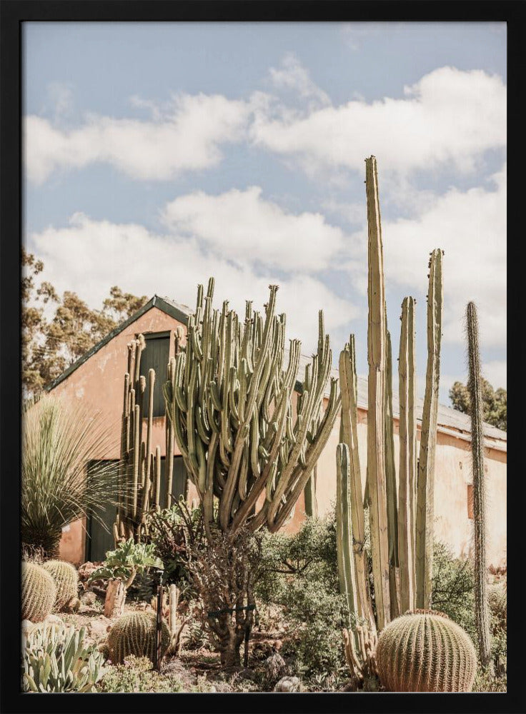 Cactus Haven | Poster