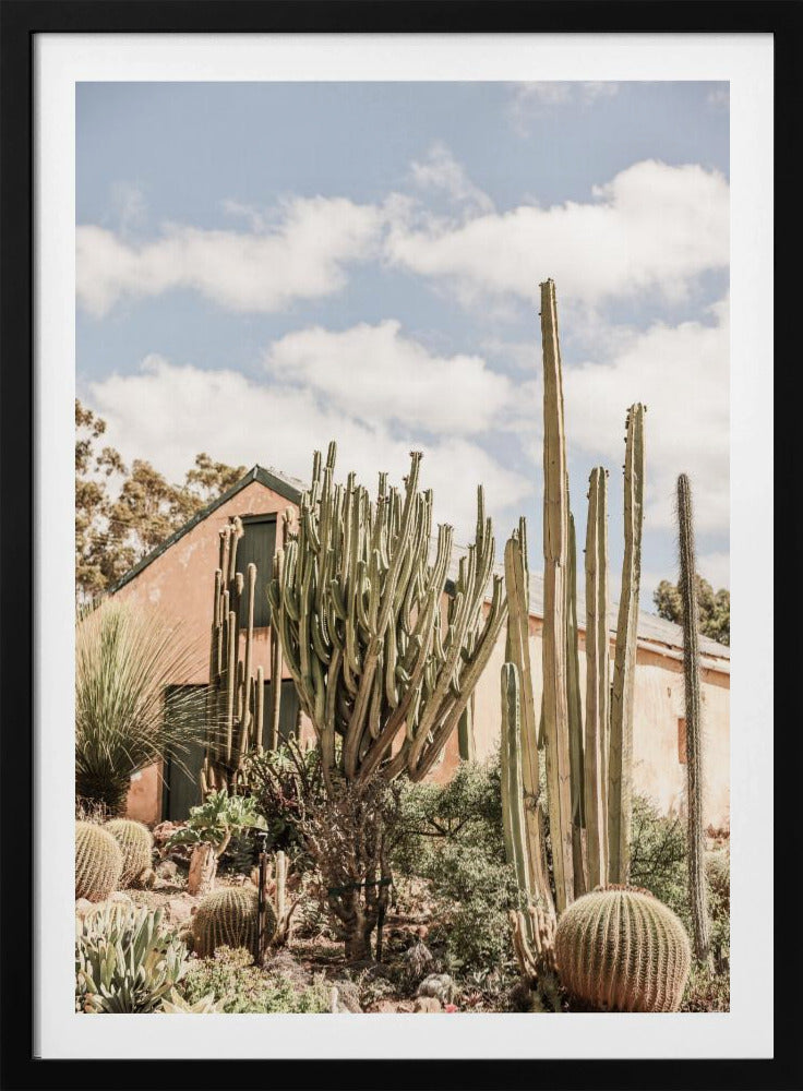 Cactus Haven | Poster