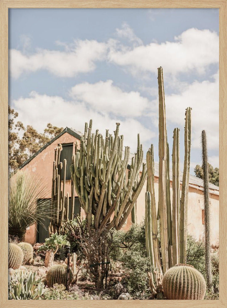 Cactus Haven | Poster