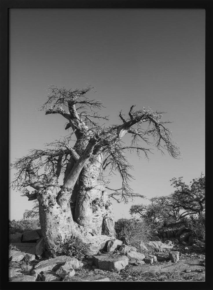 Ancient Sentinel | Poster