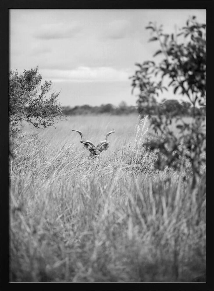 Hidden in the Grass | Poster