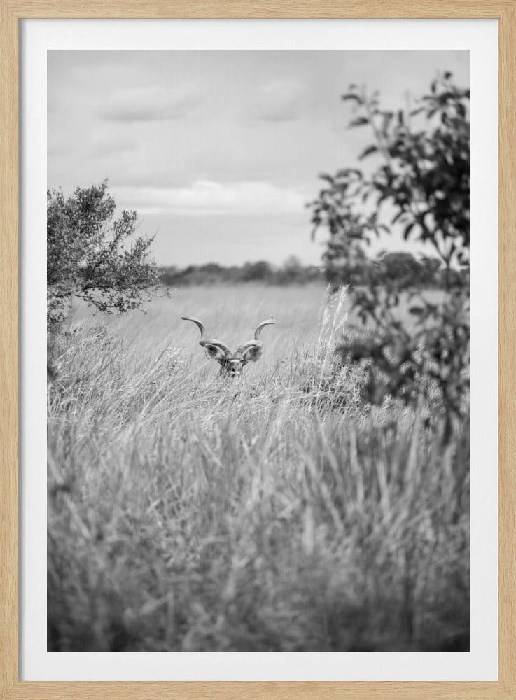 Hidden in the Grass | Poster