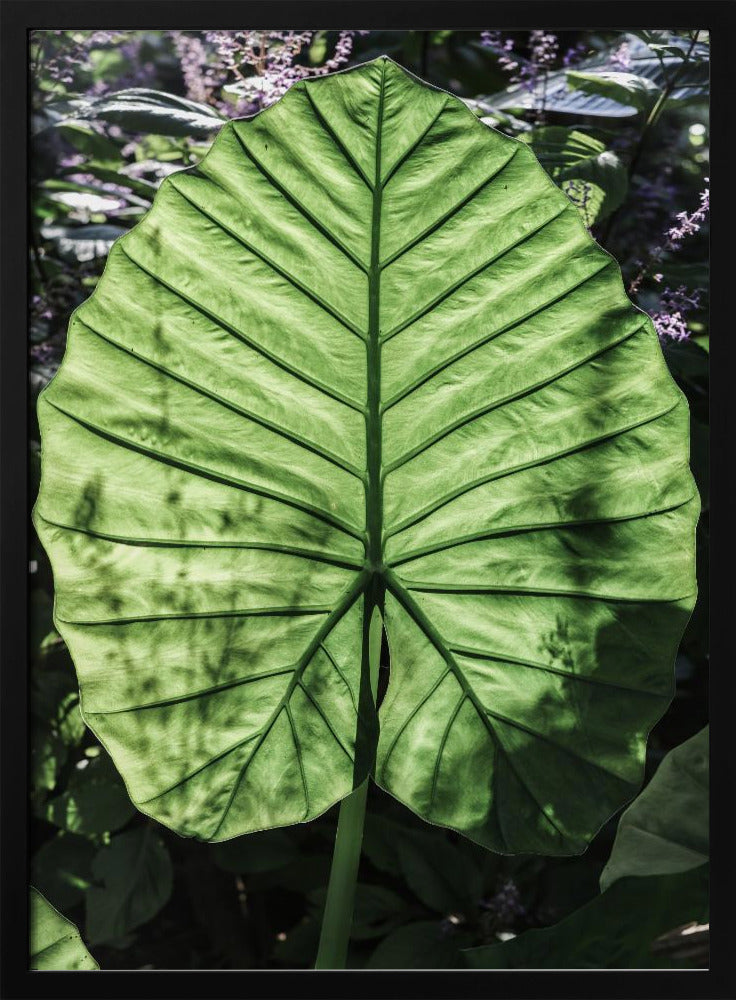 Verdant Veins | Poster