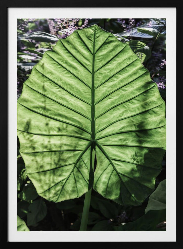 Verdant Veins | Poster