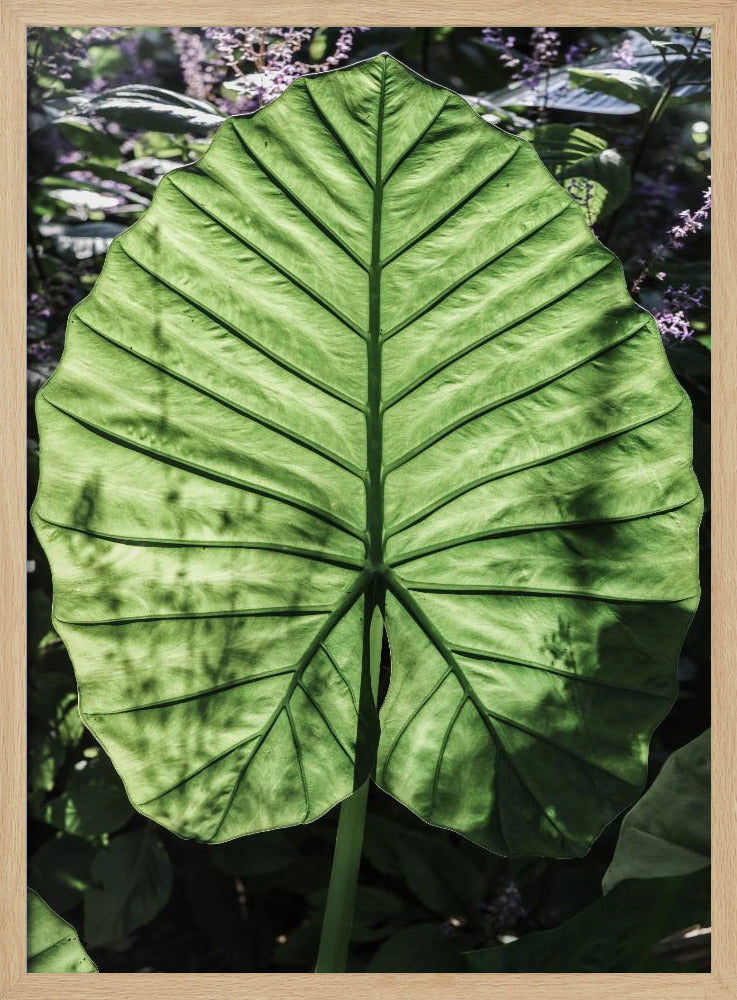 Verdant Veins | Poster