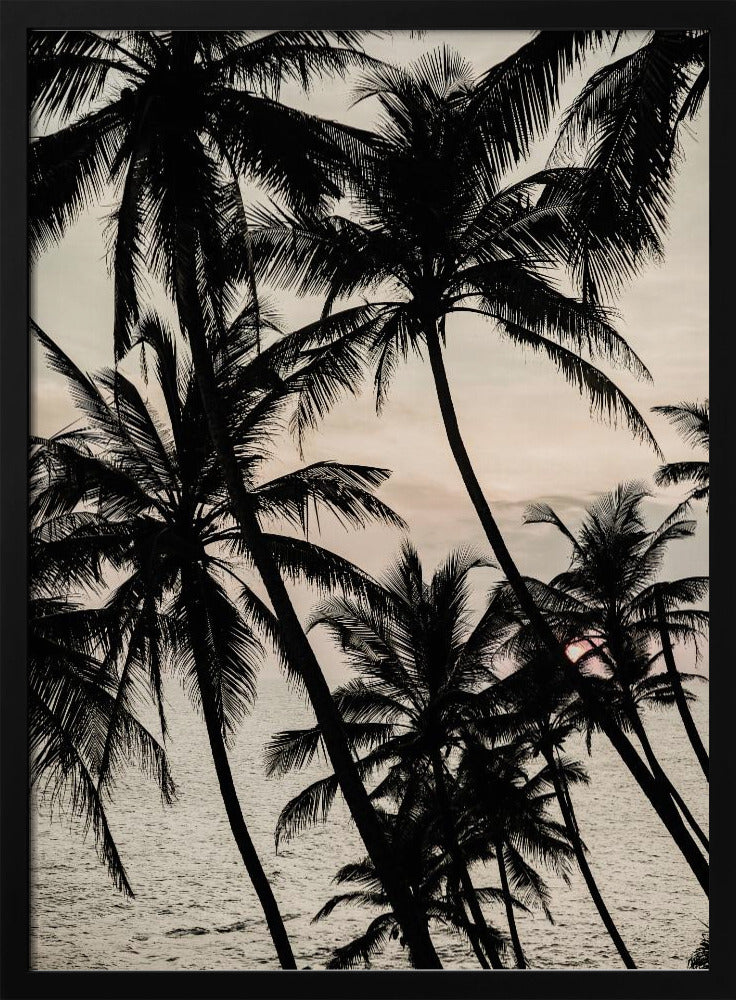 Tropical Twilight | Poster