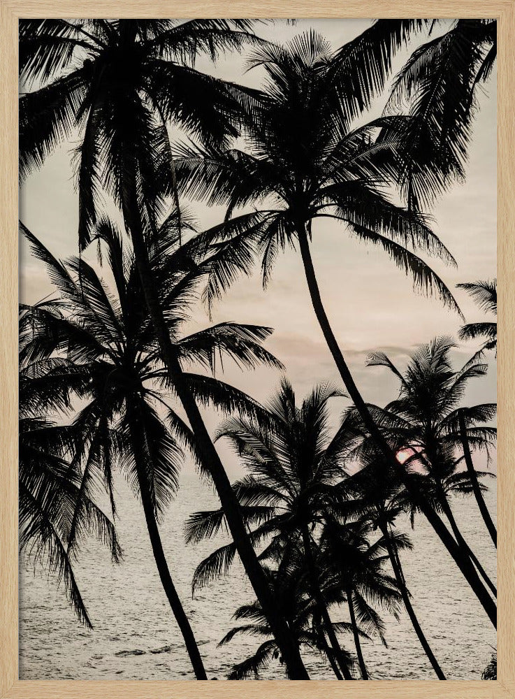 Tropical Twilight | Poster
