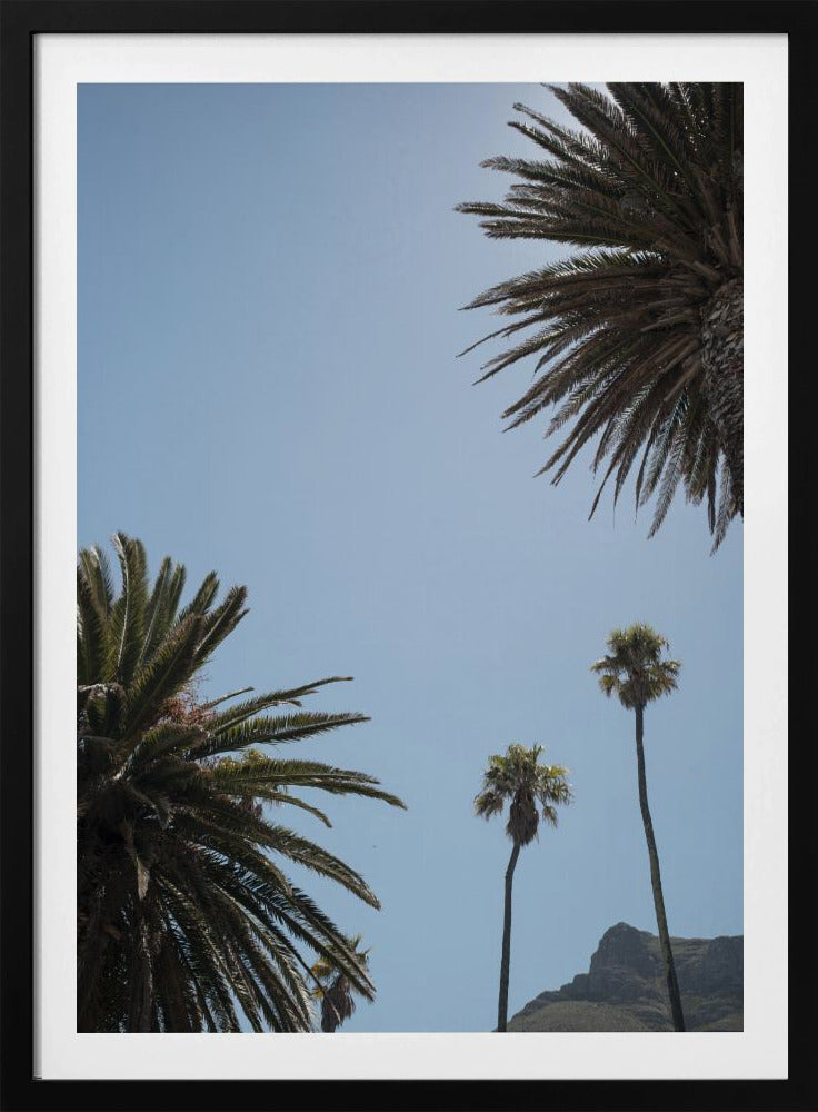 Sunny Palm Heights | Poster