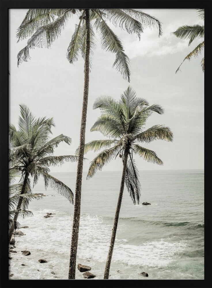 Serene Palm Coast | Poster