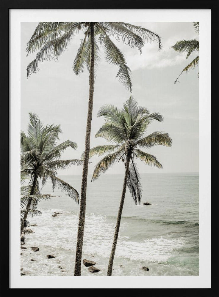 Serene Palm Coast | Poster