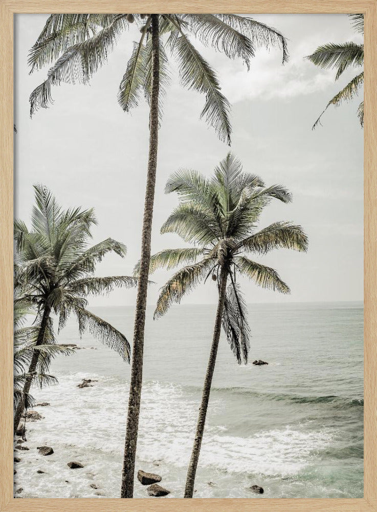 Serene Palm Coast | Poster