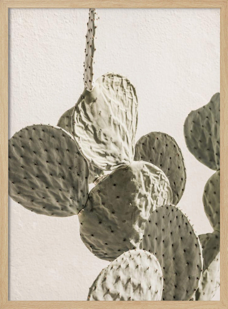 Prickly Elegance | Poster