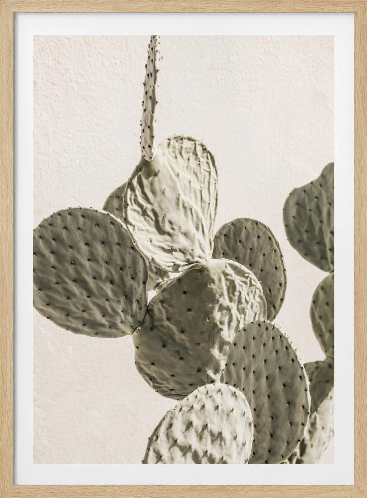 Prickly Elegance | Poster