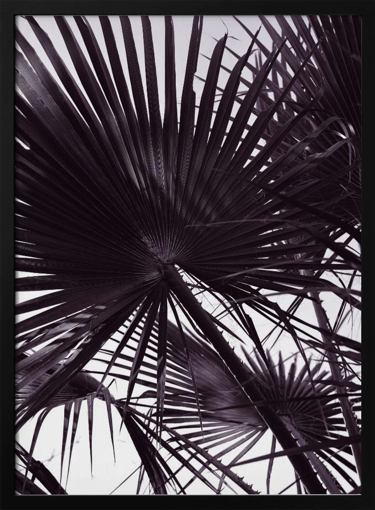Palm Silhouette | Poster