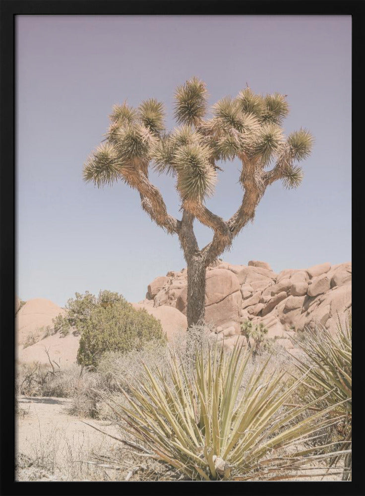 Desert Dreamscape | Poster
