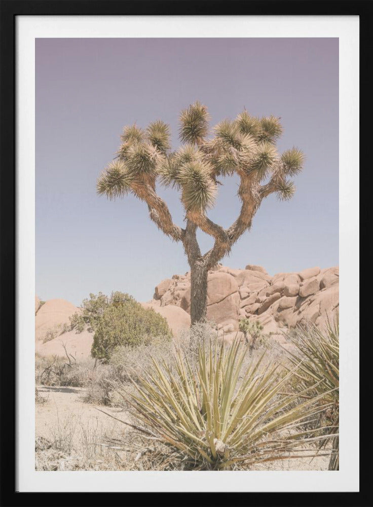 Desert Dreamscape | Poster
